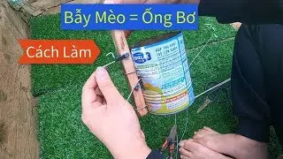 Hướng dẫn anh em làm bẫy mèo hoang bằng ống bơ,cách làm thế hệ mới cải tiến hiệu quả 100%