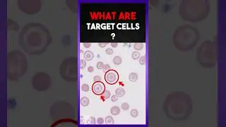 What are Target cells ? | Clear Explain