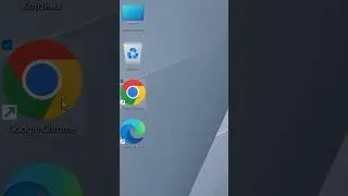 Файлы отмечаются флажками в Windows 11