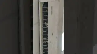 #магия #магнит #магазин #птицы #гнездо #вотэтоповорот #вашингтон