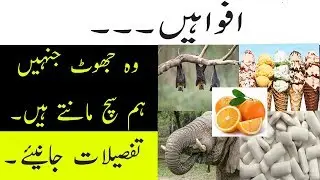 Some Lies you Know as Facts - Fake Facts