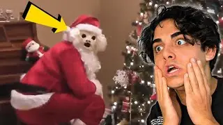 THE MOST SCARY SPRING VIDEOS SANTA CLAUS FATIH CAN AYTAN