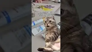 😲😲 Así nos quedamos nosotros cuando nos enseñan todas sus hermosas creaciones ✨️🤩 #Short #Meme #Arte
