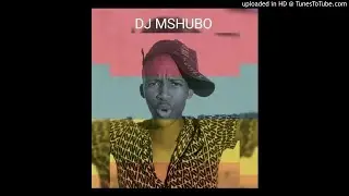 DJ Mshubo - Isityhilelo (Part 1)