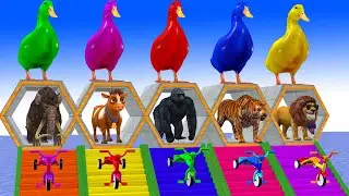 Elephant Lion Tiger Gorilla Cow Guess The Right Door ESCAPE ROOM CHALLENGE Animals Cage Game