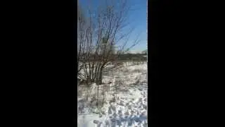 Продам землю коммерческого назначения в Голосеевском районе