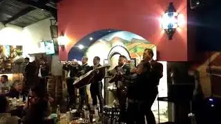 "Son de la Negra"