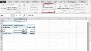 Pivot Table Filters and Slicers