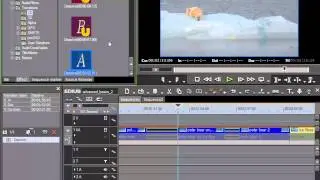 133.  Folder for your own Transitions.