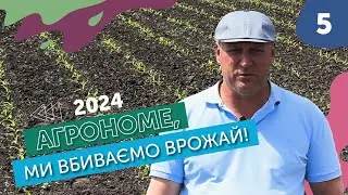 Ґрунтова схема не працює?  Чому? | Агрономе, ми вбиваємо врожай!