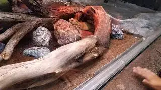 Eskisehir Sazova Hayvanat Bahçesi
