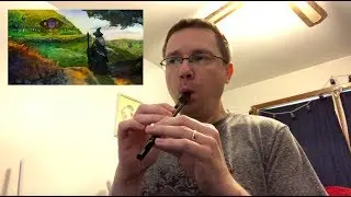 Lord Of The Rings - Concerning Hobbits Cover on Tin Whistle.