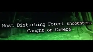 Chilling Scares - 6 Most Disturbing Forest Encounters Caught on Camera (REACTION)