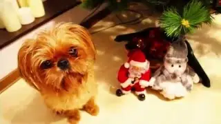 Новогодний DIY Декор Комнаты, Угощения