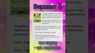 Три карты, три варианта (24.04)