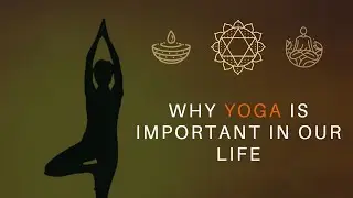 Why Yoga is important in our life 