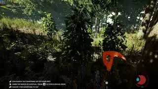The Forest on Xeon E5450 (C2Q Q9650 equivalent) and GTX 1050