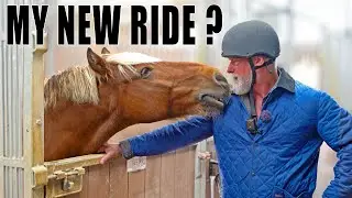MY NEW RIDE? I Swap My Motorbike For Something Else!