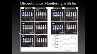 New insights into in vivo bioluminescent imaging using a human optimized bacterial luciferase