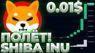 SHIBA INU ПРИЧИНА РАЛЛИ! КАК ВЫСОКО ВЗЛЕТИТ SHIB? SHIB 0.01$!