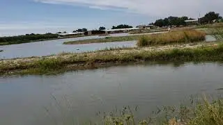 Retriever Training on Technical Ponds
