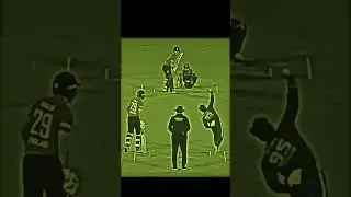 Dramatic Stump By Rizwan #shorts #viralvideo #shortvideo #youtubeshorts #trending