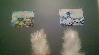 The Tails with Minds of Their Own!