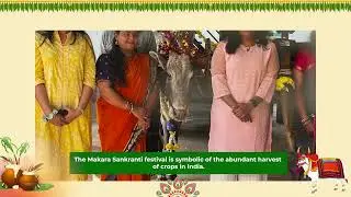 Makara Sankranti Celebration | ITChamps Software Private Limited
