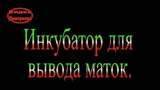 Инкубатор в помощь пчеловоду.