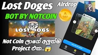 Lost Dogs Airdrop | Sinhala |  New NOTCOIN Telegram Bot | How to play Lost Dogs Airdrop