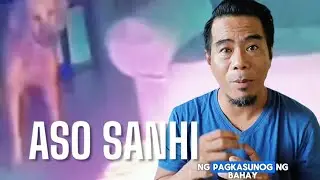 Pinoy Dog Whisperer REACTS: Aso Sanhi Ng Sunog