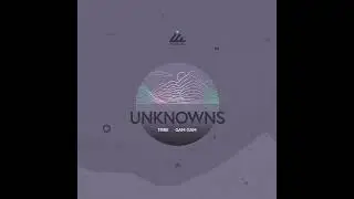 UnknownS - Tribe ( Original Mix ) [Progressive House /Melodic Techno]