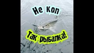 Речной корсар !   