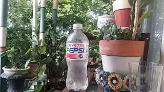 After 23 years of waiting :: Crystal Pepsi ::
