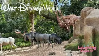 Jungle Cruise Full POV | Magic Kingdom | October 2024