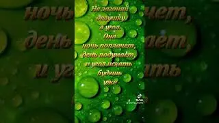 Красивый статус для сторис в инстаграм. Цитата со смыслом