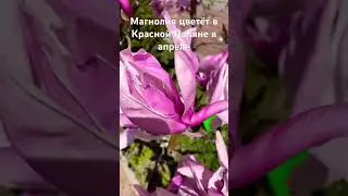 7 апреля 2024 г.