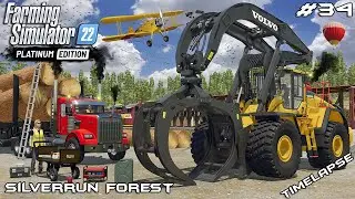 Exporting GIANT SEQUOIA logs with a TRAIN | Silverrun Forest | FS22 Platinum Edition | Episode 34