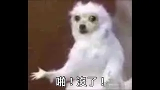 啪，沒了！ 「LOL AMAR 」