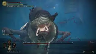 Elden Ring - Metyr, Mother of Fingers on lv1 - No blessing/No damage