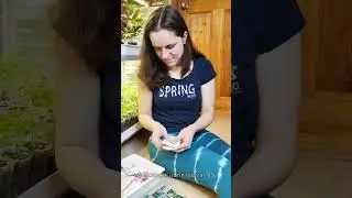 Шикарный урожай 
