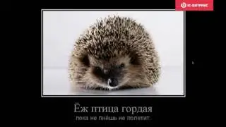 Мобильное приложение или как удержать клиента