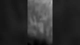 10 ноября 2023 г.