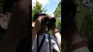 You need to be covert when observing wildlife!