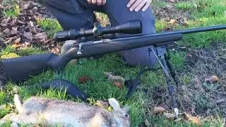 Brendon Blood's the new T1x 17hmr