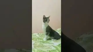 Умнее тебя)