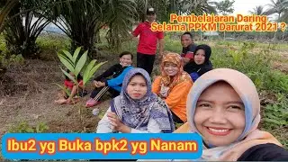 Pemanfatan sisa waktu Daring Selama PPKM Darurat 2021 (Part 2),  Ibu-ibu yg buka bpk-bpk yg menanam