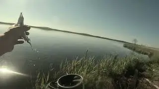 Рыбалка .Фидер и удочка.