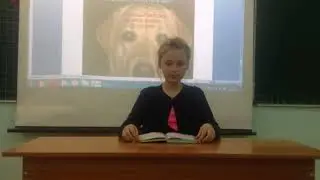 Крылатые выражения:№3 серия:На лбу написано