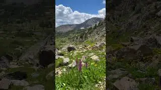 Colorado Big Mountain Views